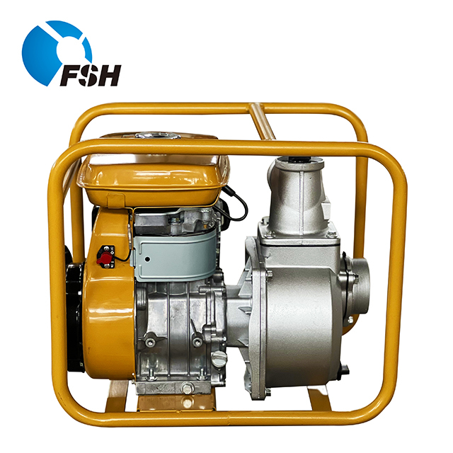 2inch Robin Ey20 Gasoline Water Pump 