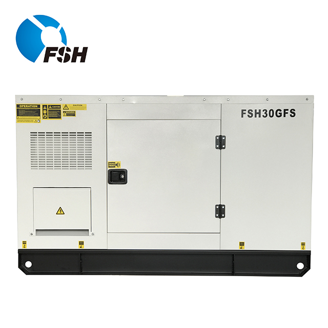 Water Cooled Diesel Generator