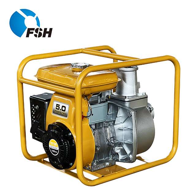 2inch Robin Ey20 Gasoline Water Pump 